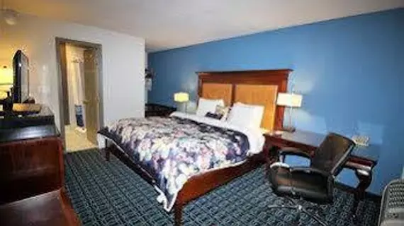 Americas Best Value Inn - Downtown / Midtown | Georgia - Atlanta (ve civarı) - Atlanta - Midtown