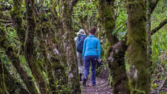 Cloud Forest Lodge | Puntarenas (ili) - Monteverde