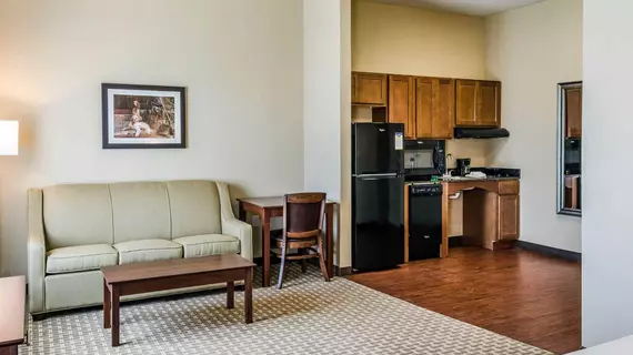 MainStay Suites Hackberry Sportsmans Lodge | Louisiana - Lake Charles (ve civarı) - Hackberry