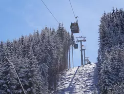 Hotel Wenger Alpenhof | Salzburg (eyalet) - Sankt Johann im Pongau - Werfenweng