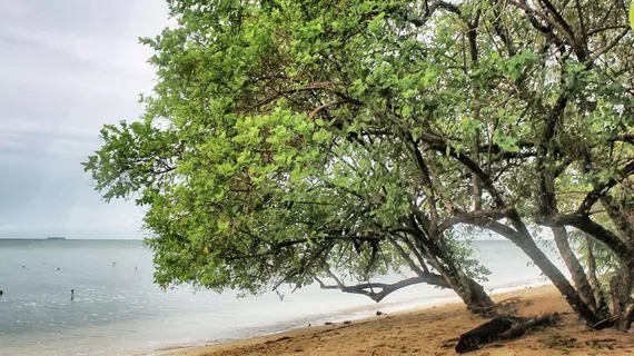 Walai Penyu Resort | Sabah - Sandakan