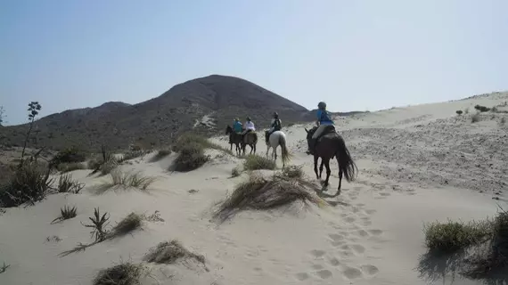 Oro y Luz | Andalucia - Almeria İli - Nijar