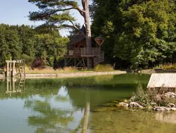 Domaine de la Roche Bellin | Centre - Loire Vadisi - Indre-et-Loire (bölge) - Descartes