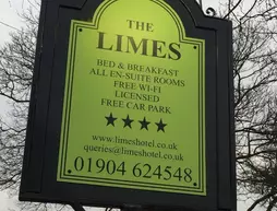 The Limes