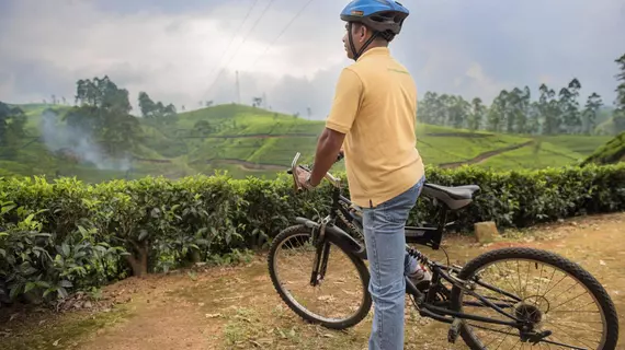 Mandira Dickoya Bungalow | Merkez Vilayet - Nuwara Eliya Bölgesi - Ambagamuwa - Dickoya