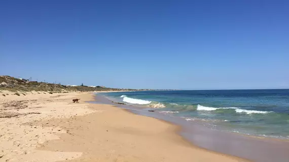 Beach Front - The Wedge | Batı Avustralya - Perth (ve civarı) - Halls Head