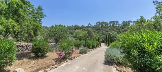 Casa Pina | Balearic Adaları - Mayorka Adası - Pla de Mallorca