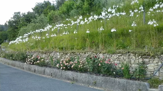 Appartamento e Camere Cerreta Carro | Liguria - La Spezia (il) - Carro