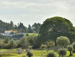 Aires da Serra | Centro - Santarem Bölgesi - Torres Novas