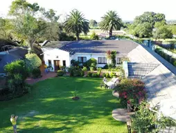 Blue Mango Lodge | Gauteng - City of Tshwane - Johannesburg (ve civarı) - Kempton Park