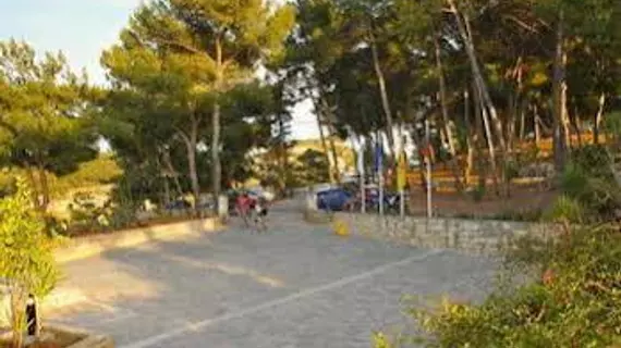 Forest Park | Girit Adası - Rethimnon (bölge) - Rethimnon