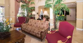 Orlando Luxury Escapes | Florida - Orlando (ve civarı) - International Drive