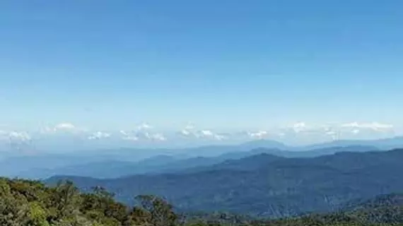 Cabinas El Quetzal | San Jose (ili) - Dominical (ve civarı) - Páramo