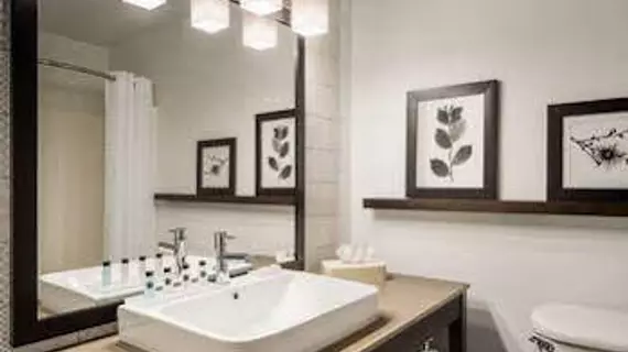 Country Inn & Suites by Radisson, Novi, MI | Michigan - Detroit (ve civarı) - Novi