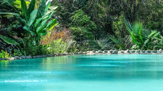 Ngare Sero Mountain Lodge | Arusha Bölgesi - Arusha