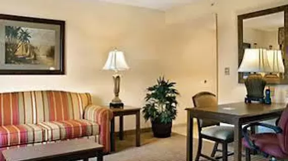 Hampton Inn & Suites Tampa-Wesley Chapel | Florida - Tampa (ve civarı) - Wesley Chapel