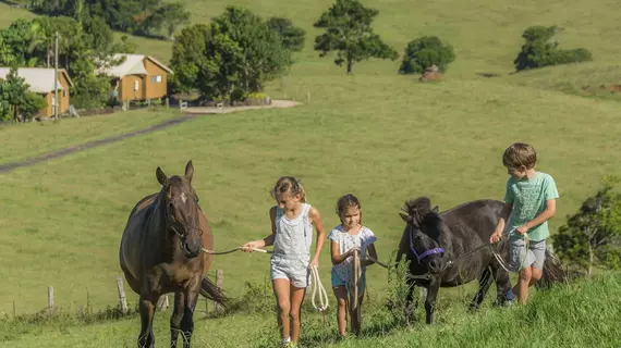 Byron Bay Farmstay | New South Wales - Byron Bay (ve civarı) - Hayters Hill