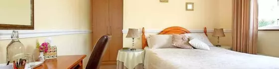 Ashleigh House B&B | Waterford (kontluk) - Waterford