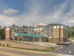 Hilton Garden Inn Pigeon Forge | Tennessee - Gatlinburg - Pigeon Forge (ve civarı) - Pigeon Forge