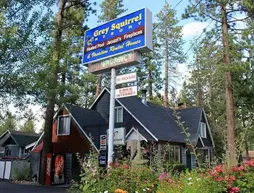 Elk Cottage at Grey Squirrel Resort | Kaliforniya - San Bernardino County - Big Bear Gölü (ve civarı) - Big Bear Lake