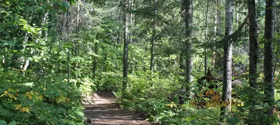 Cepal l'Auberge Nature | Quebec - Saguenay (ve civarı) - Saguenay - Jonquiere