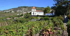 Casa das Torres de Oliveira | Norte - Vila Real Bölgesi - Mesao Frio