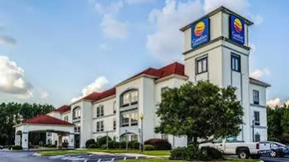 Comfort Inn & Suites Savannah Airport | Georgia - Savannah (ve civarı) - Savana