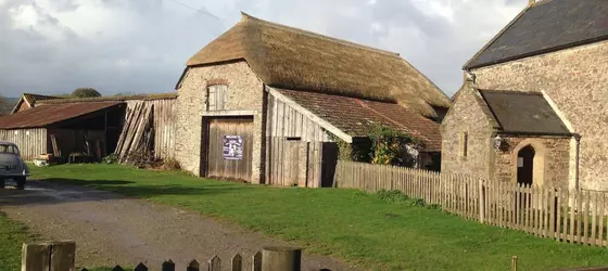 Exmoor Owl & Hawk Centre | Somerset - Minehead - Allerford