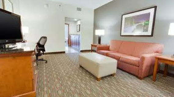 Drury Inn & Suites Greenville | Güney Karolayna - Greenville - Spartanburg (ve civarı) - Greenville