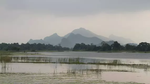 Wewa Addara | Merkez Vilayet - Matale Bölgesi - Sigiriya