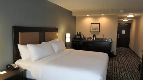 Holiday Inn South Jordan SLC South | Utah - Salt Lake City (ve civarı) - South Jordan