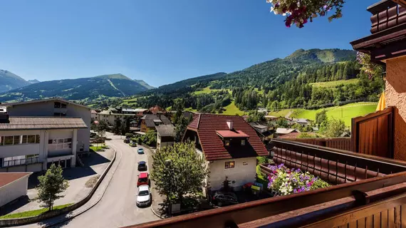 Hotel Alpina | Salzburg (eyalet) - Sankt Johann im Pongau - Bad Hofgastein