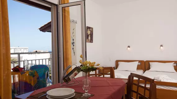 Galini Apartments | Girit Adası - Kandiye (bölge) - Hersonissos