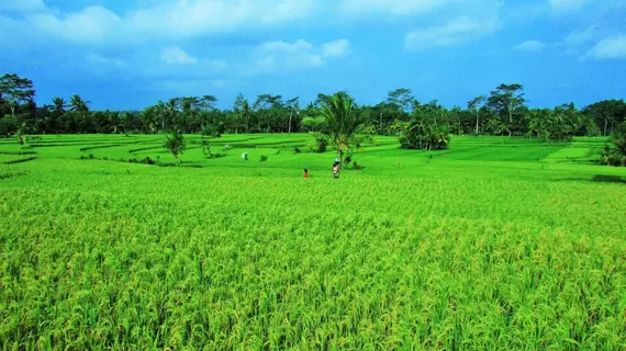 Temuku Villas Ubud | Bali - Ubud - Kedewatan