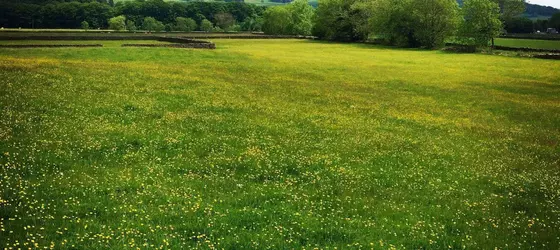 The Craven Arms | Kuzey Yorkshire (kontluk) - Settle