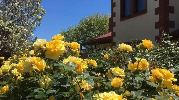 Wine and Roses Bed and Breakfast | Güney Avustralya - Adelaide (ve civarı) - McLaren Vale