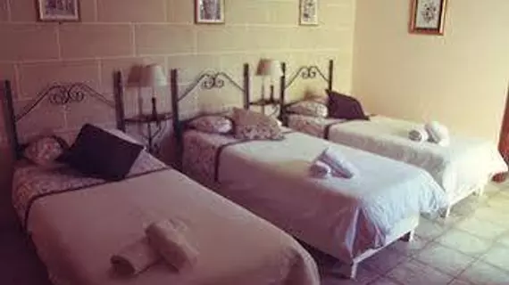 Green Grove Guest House | Malta - Swieqi