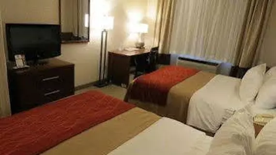 COMFORT INN NORTH - AIR FORCE ACADEMY AREA | Kolorado - Colorado Springs (ve civarı) - Colorado Springs - Pikeview