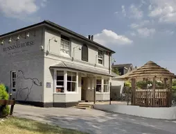 The Running Horse | Hampshire (kontluk) - Winchester