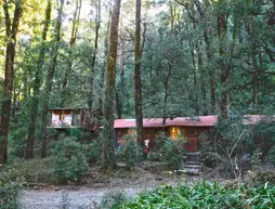 Ayar Jungle Camp | Uttarkand - Haldwani (ve civarı) - Nainital