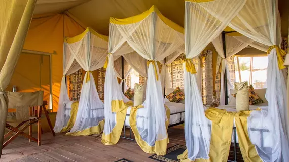 Kisura Serengeti Tented Camp | Serengeti Ulusal Parkı