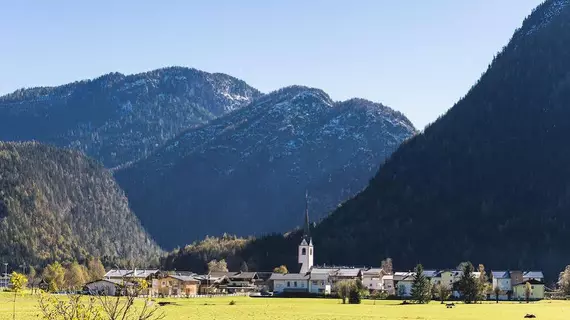 Zenauerhof | Salzburg (eyalet) - Zell am See - Sankt Martin bei Lofer