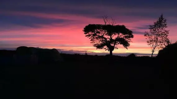 Folly Hall Farm | Kuzey Yorkshire (kontluk) - Whitby