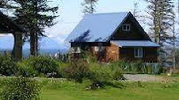 C View Cabins | Alaska - Anchor Point