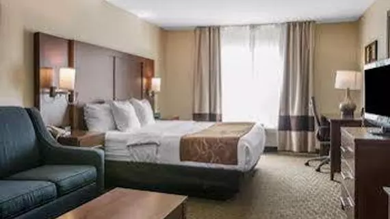 Comfort Suites Wixom / Novi | Michigan - Detroit (ve civarı) - Wixom