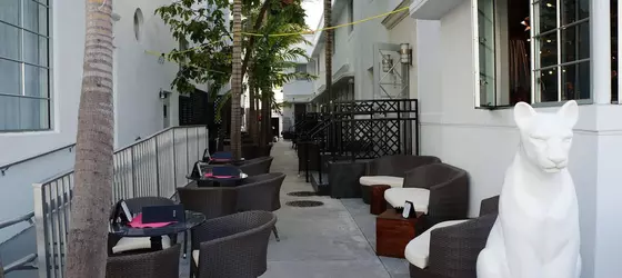 Posh South Beach Hostel | Florida - Miami Beach - Güney Plajı