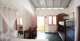 Casa Delfin Guest House | Samana (ili) - Samana (ve civarı) - Las Terrenas