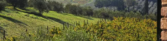 La Fornace Di Racciano | Toskana - Siena (vilayet) - San Gimignano - Val d'Elsa