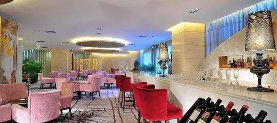 Xian Yulong International Hotel | Şaanksi - Xi'an - Weiyang