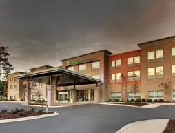 Holiday Inn Express and Suites Charleston NE Mt Pleasant US17 | Güney Karolayna - Charleston (ve civarı) - Mount Pleasant